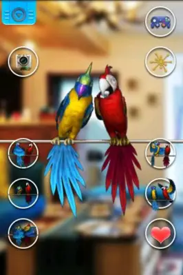 Talking Parrot Couple Free android App screenshot 1